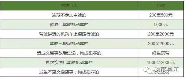 最新增驾表详解