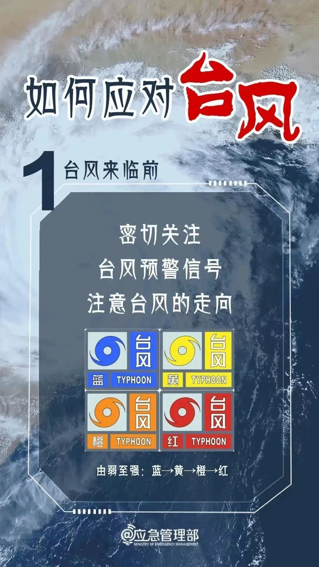 厦门台风预警最新，风雨中的守护与应对